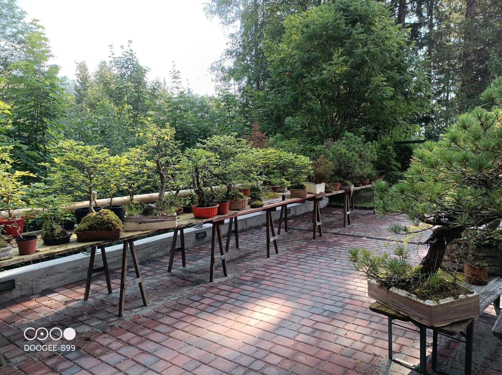 Park Hotel Arnica 法尔西德 外观 照片